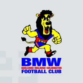 Bmw football club